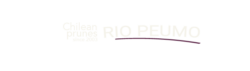 Rio Peumo